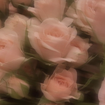 (:̲̅:̲̅:̲̅[<3]:̲̅:̲̅:̲̅)