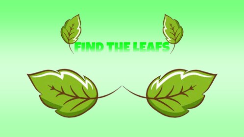 find the leafs (2024)