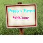 Pappy's Resort