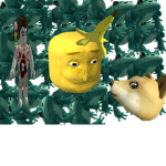 BullFroggiez