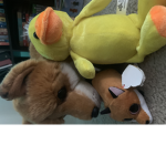 Foxxo and duck fan club
