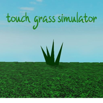 touch grass simulator