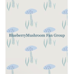 Blueberry Mushroom Fan Group