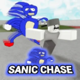 Sanic and super Sanic chase icon
