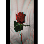 ~Lonely Girls~