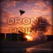 DronePoint [GLOBAL UPDATE + NEW DRONES] icon