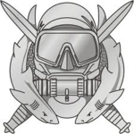 Medical Divisionl Ops Divisions[BOR]