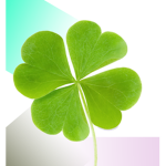 stay lucky like clovers