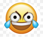 qerdcxxer