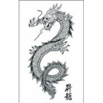 Clan T u n a k u Dragons Hands