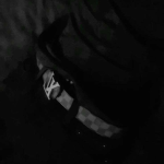 selfhvtred