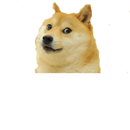 doge hang out