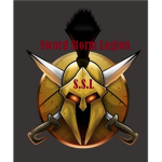 Sword Storm Legion