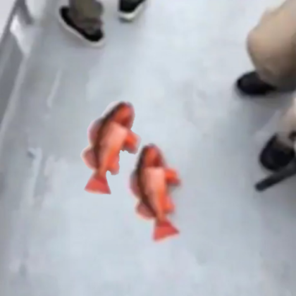 fish #too Roblox decal
