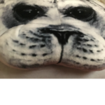 Seal fan squad