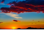 Phoenix Rising Studio