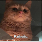 cat's funtime friend group