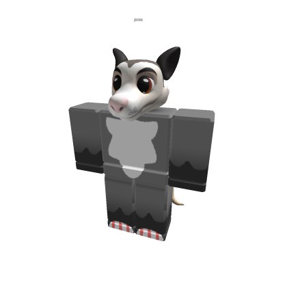 possum