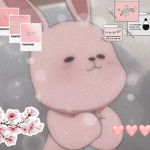 BunnySqaud