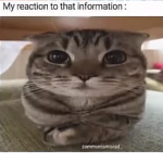 aygf