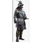 WRATH OF THE SAMURAI
