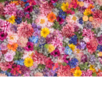 #Floral Friends