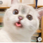 Hey ym Paola I like to troll ######