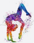 Mithic Sky Gymnastics Staff