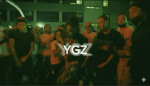 SHD:YGZ