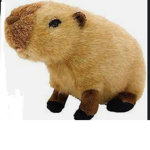 The capybara group the 5th
