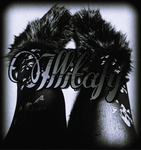 Illitafy!