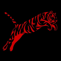 red tiger practices studio