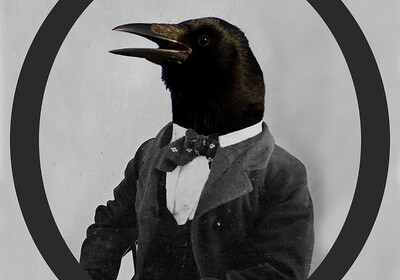 Official Shadow Ravens Training