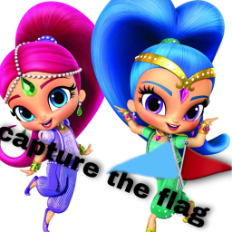 Shimmer and shine Capture the Flag read descript