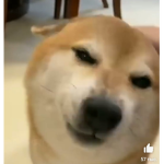 Мы лучшие<З
