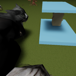 *CATS CATS CAAAAAAAAAATS*