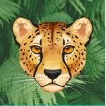 The Leopard Productions