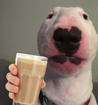 Jackys amry