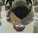 Burrowclan Events