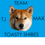 The toasty dogs