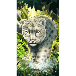 Tsaheylu