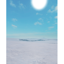 Ant Arctica