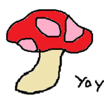 Mushroom Collectors