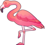 Project: Flock