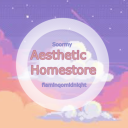 Aesthetic Clothing Store!