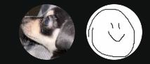 poop crew