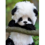 Lolo panda