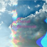 Eternal Professionals