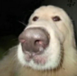 pluhhhhhhhhhhhhhhhh