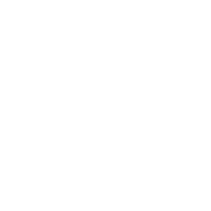  [⏳LIMITED EMISSIVE] Wings of Life Angel🤍